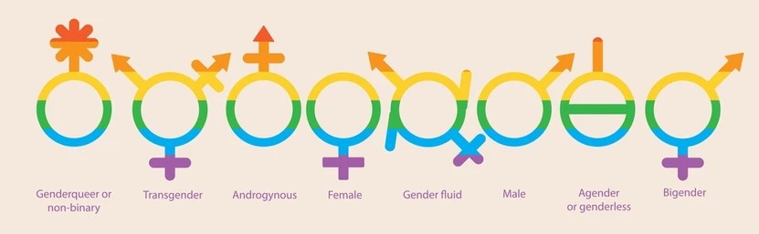 Gender Identity Binary Pronouns